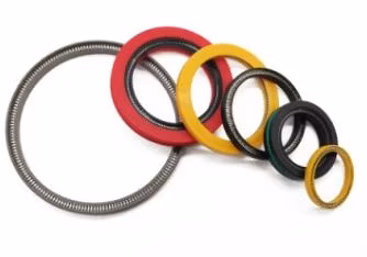 Valvola della pompa idraulica meccanica Variseal PTFE personalizzato Prafite di carbonio Peek Doppio labbro Stelo del pistone Molla a olio rotante Guarnizione energizzata