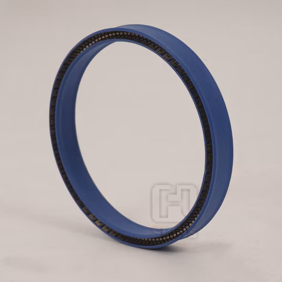 Guarnizione O-Ring in PTFE con forte resistenza alla pressione, energizzata a molla